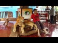 Un garçon prend une photo avec un lion mais la tête du lion tombe! La raison est inimaginable...