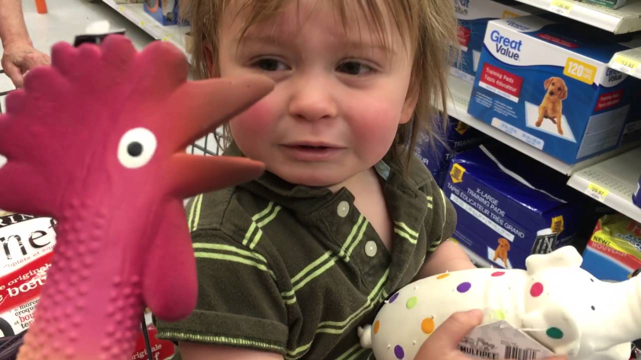 Rubber Chicken Gag and Toddler YouTube