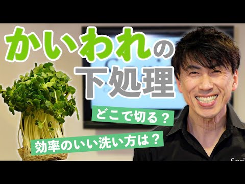 【#61】かいわれの効率のいい洗い方と切り方！