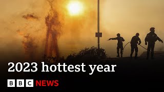 2023 confirmed as world's hottest year on record - BBC News
