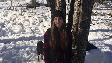 Smoky Lake Murphy Compensation Cup #SLMP2019