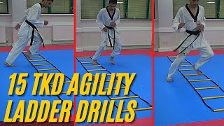 Taekwondo AGILITY Drills Using LADDERS | Part 3