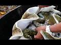 GIANT ALIEN CLAM Cooked Three Ways - Palau Seafood Koror