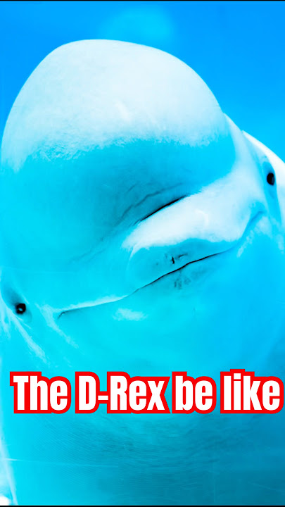 The Jurassic Park/World villain dinosaurs seeing the D-Rex for the first time