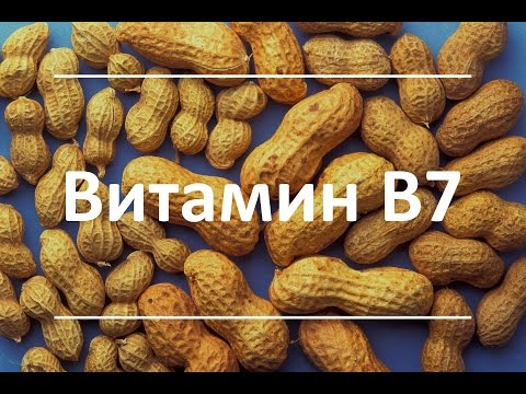 Витамин В7 (Биотин) - функции, польза, признаки недостатка, где содержится биотин