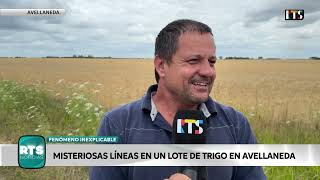 MISTERIOSAS LÍNEAS EN UN LOTE DE TRIGO EN AVELLANEDA | “ES UN FENÓMENO QUE NADIE LOGRA EXPLICAR”