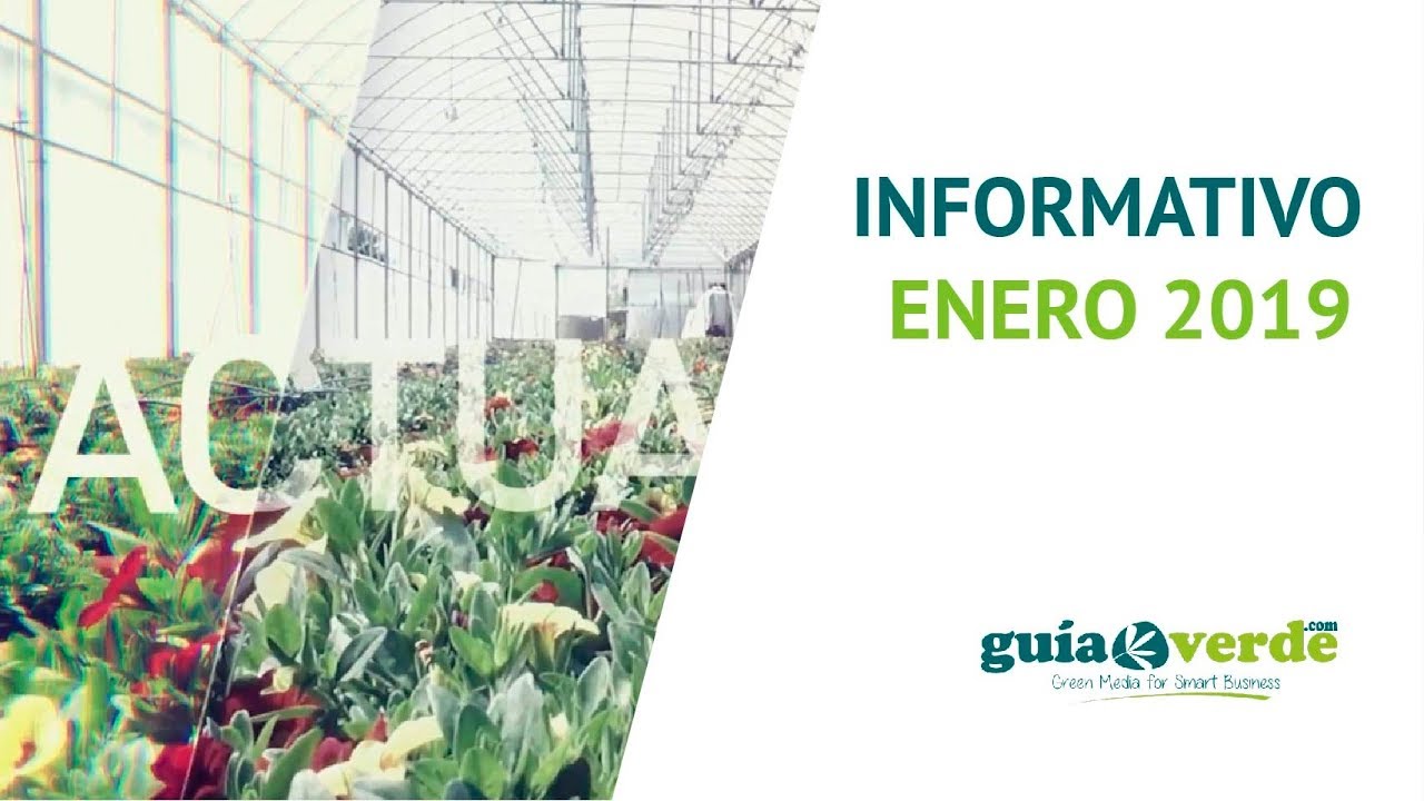 Informativo GuíaVerde enero 2019 