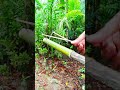 DIY Jungle Gadget: Powerful Bamboo Slingshot🎋 #DIY #Slingshot #Crafts#diy #shortvideo
