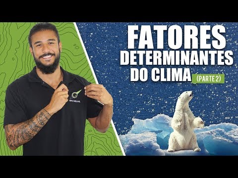 Fatores determiantes do
