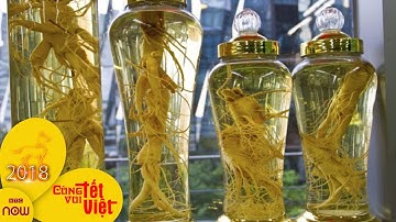 Tết âm, không thể thiếu rượu ngâm | VTC9