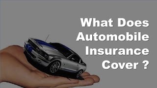 Vehicle Insurance Basics -  What Does Automobile Insurance Cover