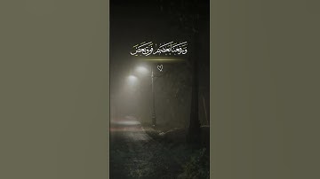 القارئ  رعد الكردي | قرآن كريم بصوت جميل