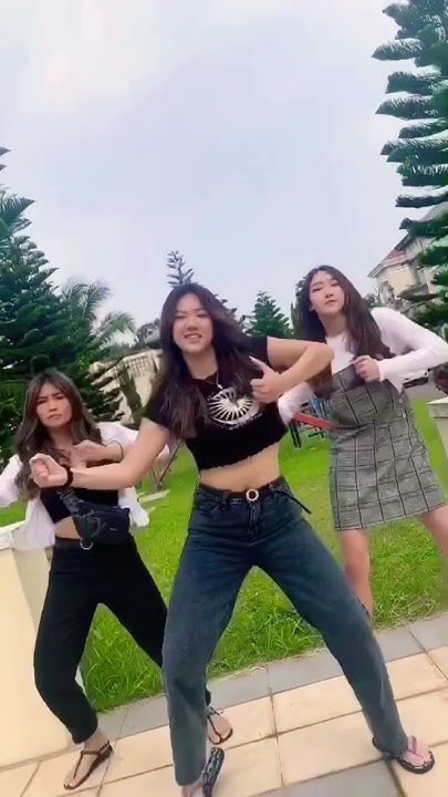 One Two Three Think I Got You Pinned 1,2,3 think I got you pinned | Tiktok Dance Challenge (another ver.) 🔥