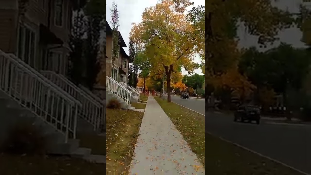 Fall In Canada canada canadaimmigration beautiful YouTube fall-in-canada-canada-canadaimmigration-beautiful-youtube