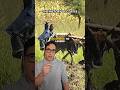 The Story of Coffee: From Dancing Goats to Global Revolution