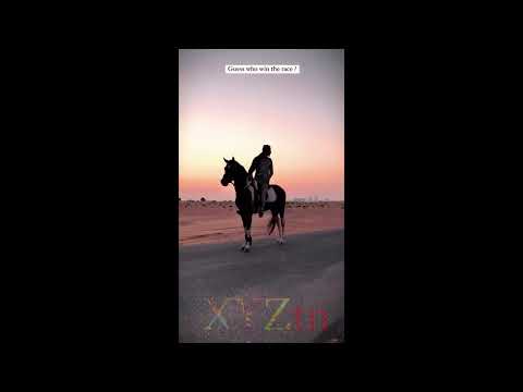    الحارس الذي لا يهادن الشر طارق العربي طرقان باتمان سبيستون اغاني سبيستون
