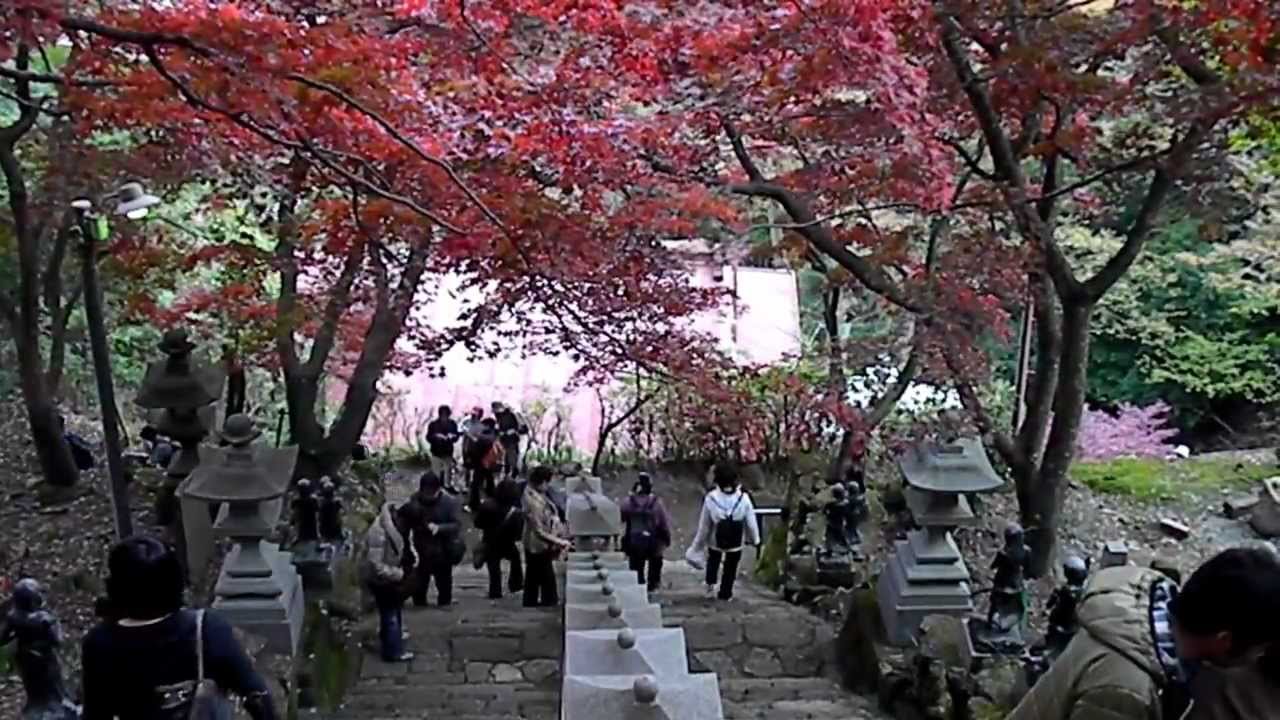 Oyama National Park 丹沢大山国定公園 Youtube Oyama National Park 丹沢大山国定公園 Youtube