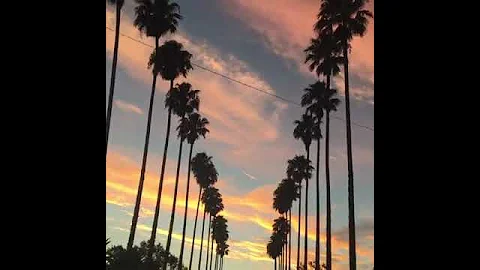 Driving Through Sunset