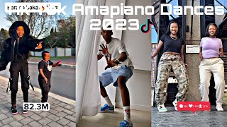 Best of amapiano dance challenges | 2023 