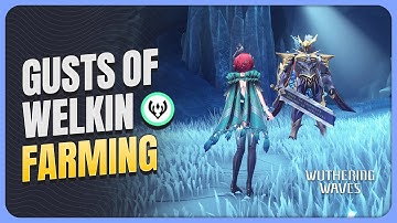 [With Route Map] Complete Gusts of Welkin 3-Cost Echo Farming Guide | Wuthering Waves 2.2