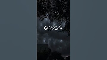 [ الرعد:  ٢٨ ] القارئ عبدالله الخلف         #قرآن #قران_كريم #الرعد #سورة_البقرة #سورة_الكهف #مكة