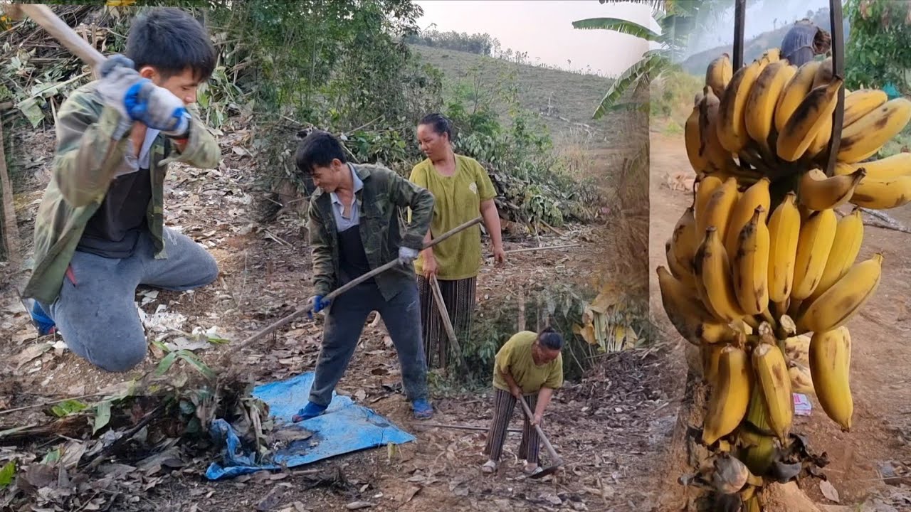 7 มีนาคม ค.ศ. 2026