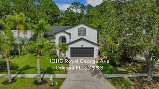 13115 Royal George Ave Tampa FL 33556 - Drone Fly Through