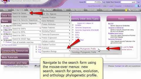 EuPathDB: Orthology Phylogenetic Profile Search