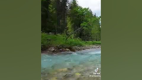 ما تيسر من الإسراء برواية دوري الكسائي بصوت الشيخ محمدعبدالحكيم بن سعيد العبدالله| قرآن الفجر ١٤٤٦هـ