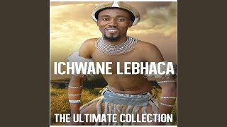 Izigqi Zechwane