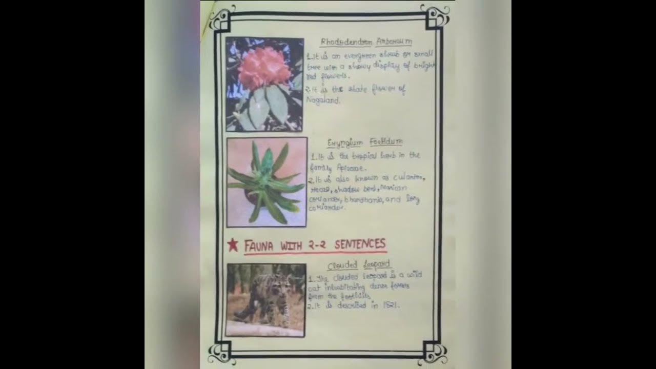 Sentence On Manipur Flora And Fauna Flora And Fauna Of Manipur