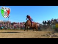 RATON DE CUXPALA VS DRAGON ROJO DE MARTINEZ RANCH EN LA PLAZA MEXICO.