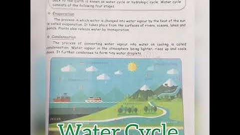 Water Cycle | Water | Lesson-2 | Part-2 | 5th Science | Term-2 | Samacheer