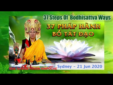 37 STEPS OF BODHISATTVA WAYS- 37 Pháp Hành Bồ Tát Đạo-VEN. SONAM TENZIN RINPOCHE-Sydney- 21 Jun 2020