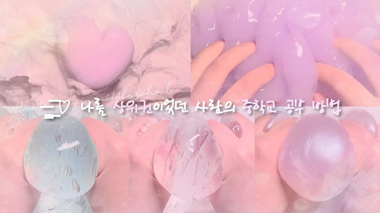 과목별 공부 방법 🖋️ 소시액 소규모 시리즈액괴 소규모 시액 소규모 액시 액괴시리즈 구구리님 영상 알고리즘 히트 추천