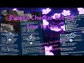 Ruzzka Checker Bot V2: Working Gateways and Full Free Acces Event 🌧️