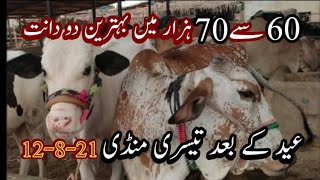 Bhains Colony Mandi Rates 2021 12 August 2021 | Sohrab Goth Mandi