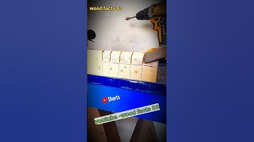 Woodworking projects #asmr #chisel #asmrsounds #oddlysatisfying #woodworking #sharp #relex