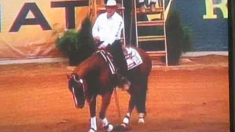 2010 World Equestrian Games- Reining- Jose Vazquez Hernandez (Mexico) 9-26-10