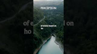 The Power of Perception: How We Make Sense of the World