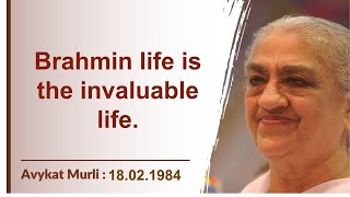 English | 18.02.1984 | Brahmin life is the invaluable life.