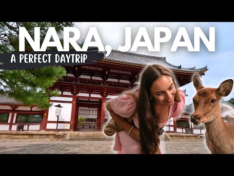 Why You Should DEFINITELY Visit Nara - Japan’s Bowing Deer 🇯🇵