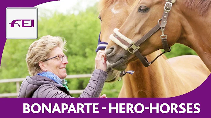 Bonaparte & Heike Kemmer - Hero Horses