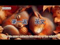 青少儿双语百科 I 学英语 I 聊百科 I 双语看世界I Why Do Some Animals Hibernate In The Winter 为什么有些动物在冬天冬眠 青少儿双语百科 I 学英语 I 聊百科 I 双语看世界I Why Do Some Animals Hibernate In The Winter 为什么有些动物在冬天冬眠