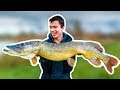 GIANT PIKE in CRYSTAL CLEAR WATER!