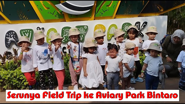 Serunya Field Trip ke Aviary Park Bintaro