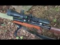 Squirrel pestcontrol with Airarms tdr .22