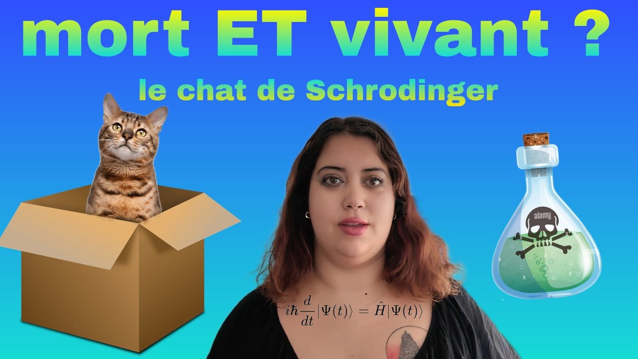 Enigme Cluebox - Le chat de Schrödinger 🐱 Résoudre