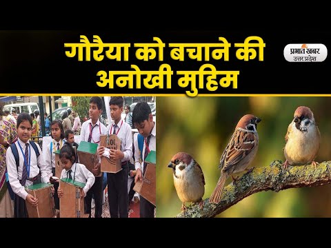 World Sparrow Day: विश्व गौरैया सप्ताह दिवस की शुरूआत, बच्चों को घोसला देकर किया गया जागरूक