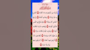 القرآن الكريم سورة النبأ سعد الغامدي #القرآن_الكريم #راحة_نفسية #اطمئن